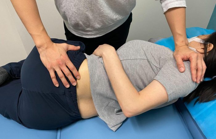 手法治療 Manual therapy